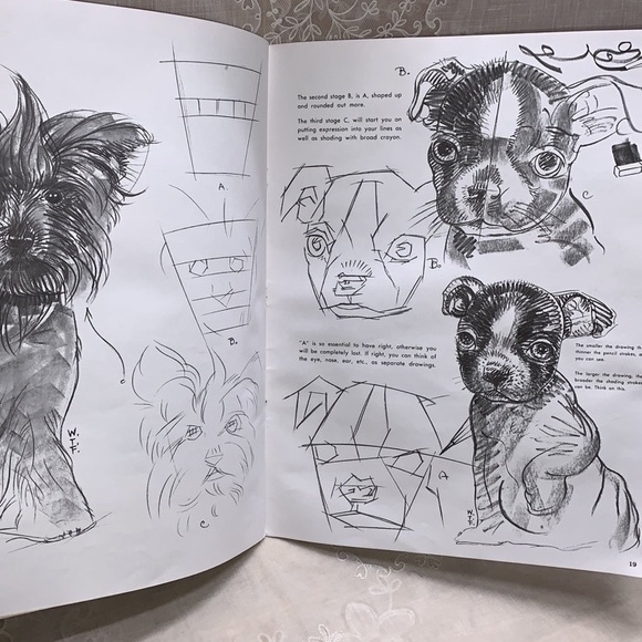 How to Draw & Paint Dogs 13" paperback book by Walter Foster 1989 - Picture 5 of 11